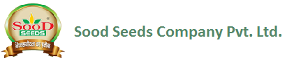 Sood Seeds Logo