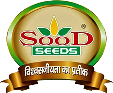 Certified Seed